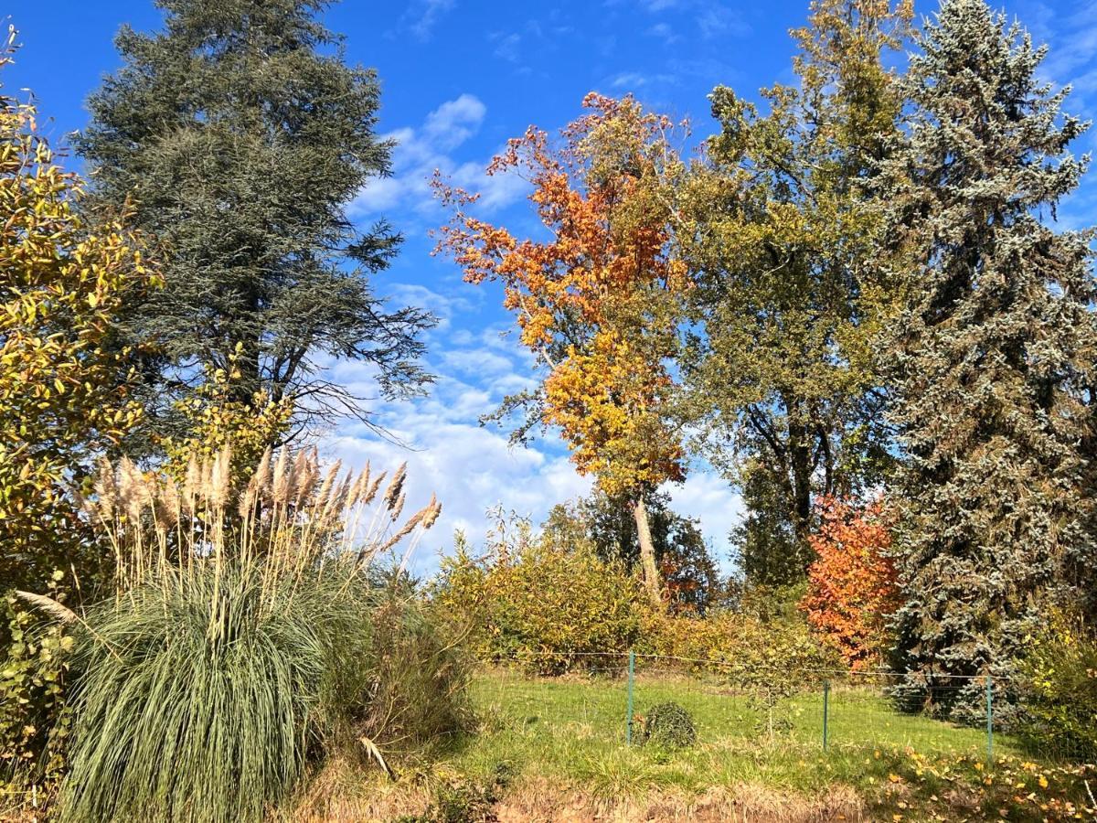 Domaine Le Manoir, Gites De Charme Et De Caractere Avec Piscines Privatisees Et Spa Nordique Fossemagne Luaran gambar
