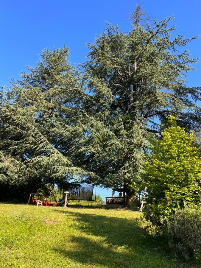 Domaine Le Manoir, Gites De Charme Et De Caractere Avec Piscines Privatisees Et Spa Nordique Fossemagne Luaran gambar